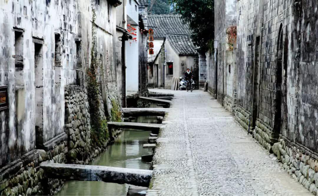 组装机械章鱼龙